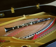 Piano Clarinet Accompanist